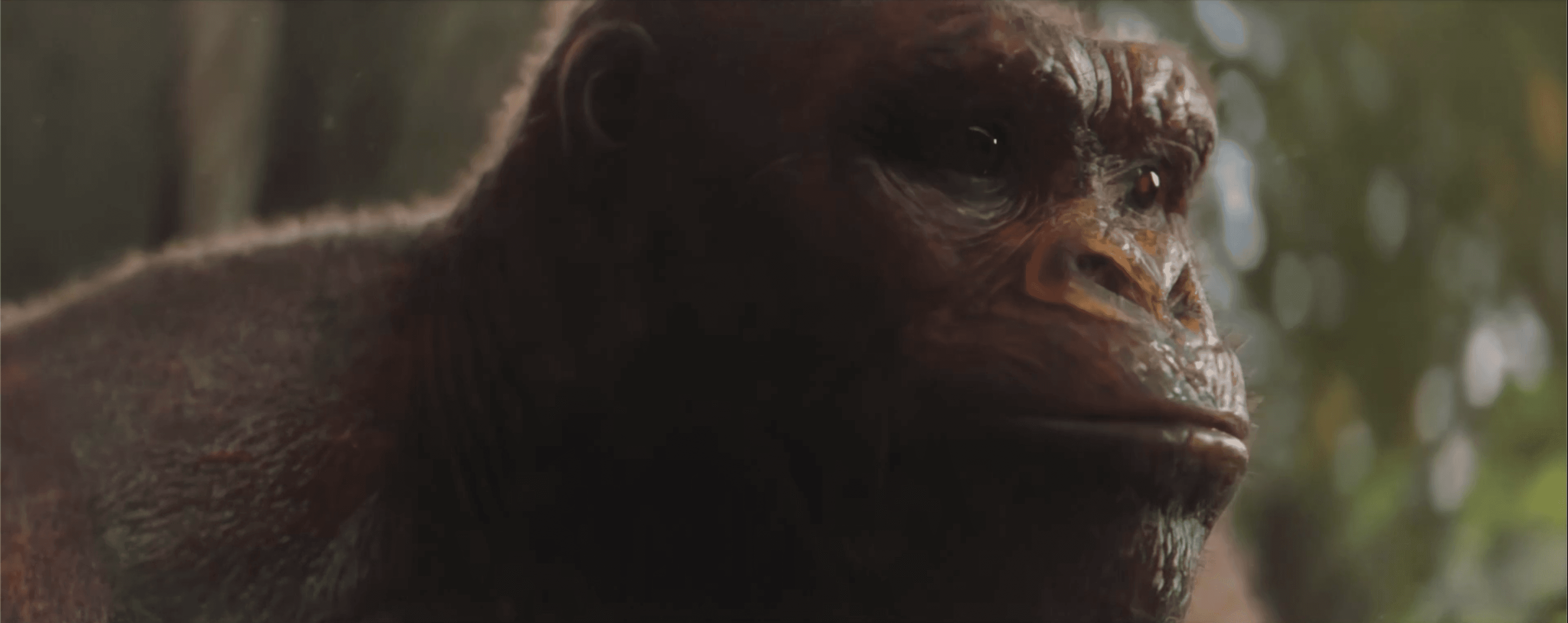 Gorilla